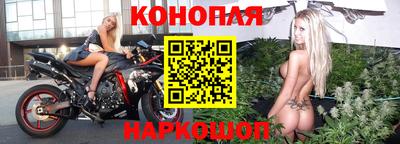 шишки Новокубанск