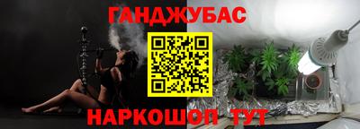 шишки Новокубанск