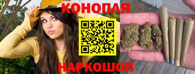 шишки Новокубанск
