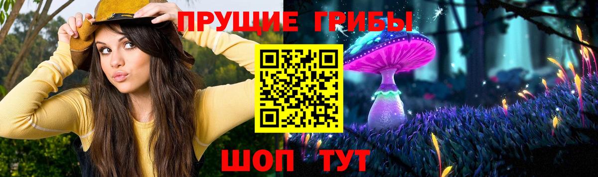 Галлюциногенные грибы MAGIC MUSHROOMS  хочу наркоту  Вход с VPN  Ступино  Псилоцибиновые грибы ЛСД 